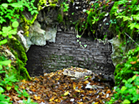 fontaines de France :  Cave de l'Ancien Monastre