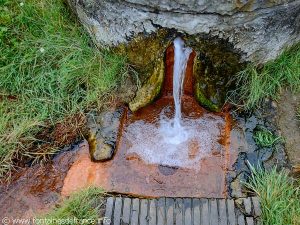 La Source de l'Ours