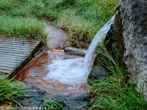 La Source de l'Ours