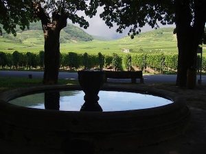 La Fontaine Place du 11ème R.C.A