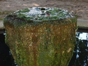 La Fontaine Place du 11ème R.C.A