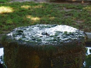 La Fontaine Place du 11ème R.C.A