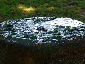 La Fontaine Place du 11ème R.C.A