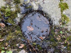 La Fontaine Notre-Dame de la Clarté