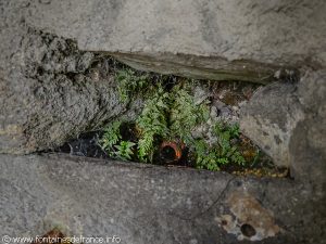 La Fontaine Couverte de Berzet