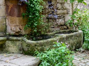 La Fontaine du XIIIème Siècle