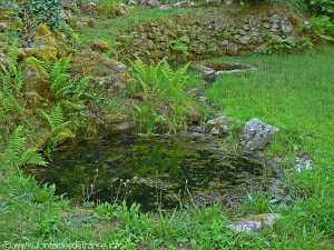 La Fontaine Celtique Saint-Martial