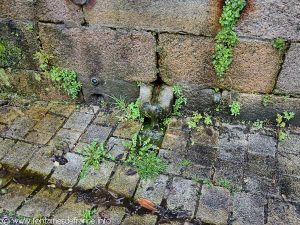 La Fontaine aux Chiens