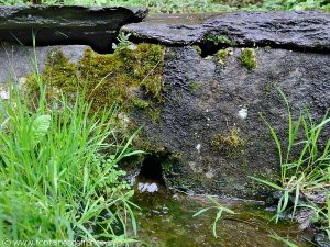 La Fontaine au Lait