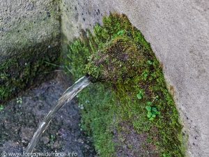 La Fontaine Lavoir de la Halle