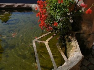 La Fontaine de la Vierge à l'Enfant