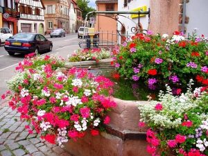 La Fontaine de la Basse Porte