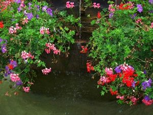 La Fontaine aux Dauphins