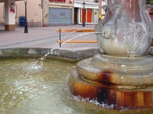 La Fontaine Grande Rue