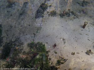 La Fontaine Lavoir du Bourg