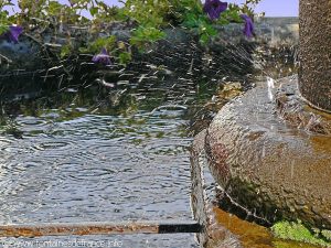 La Fontaine de la République