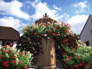 La Fontaine rue Molsheim