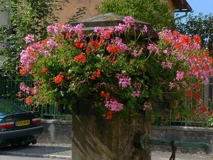 La Fontaine rue de la 1ère DFL