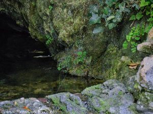 La Fontaine de Fleurette
