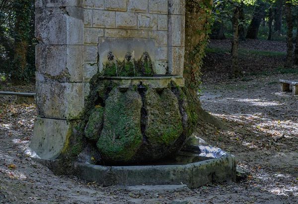 La Fontaine des Marguerites