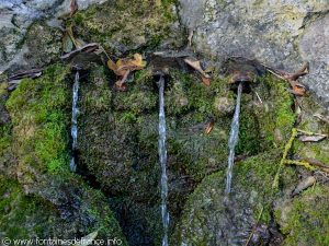 La Fontaine des Trois Grenouilles