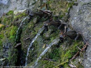 La Fontaine des Trois Grenouilles