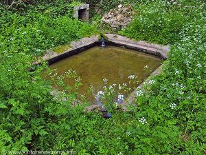 La Fontaine Lavoir de la Gataudière