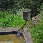 La Fontaine Lavoir de la Gataudière