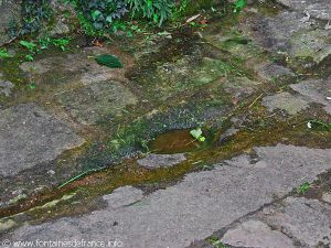 La Fontaine de la Madeleine