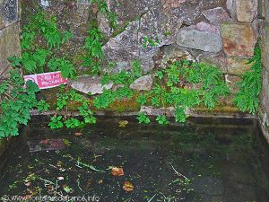 La Fontaine de la Madeleine