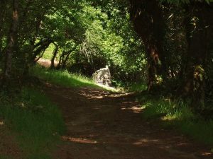 La Fontaine Sainte-Barbe