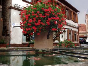 La Fontaine de l'Ours