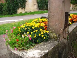La Fontaine à Tourniquet