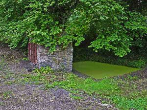 La Fontaine Saint-Fiacre