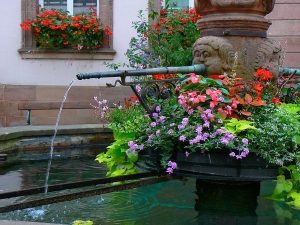 La Fontaine de l'Hôtel de Ville