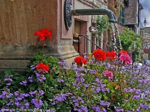 La Fontaine dite Marktbrunnen