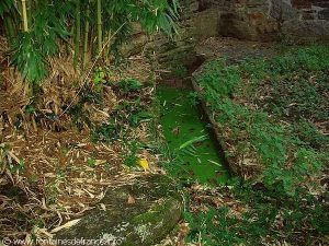 La Fontaine Saint-Martial