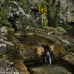 La Fontaine Miraculeuse de Montrot