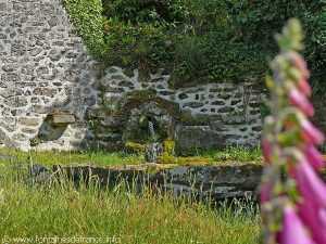 La Fontaine du Mas-Barbu