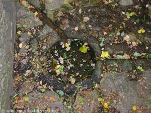 La Fontaine de la Chapelle N.D de Grâces