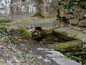 La Fontaine du Lavoir des Gaudichets