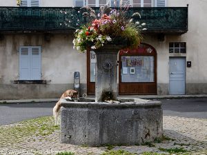 La Fontaine Place Delille
