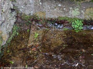La Fontaine du Terron