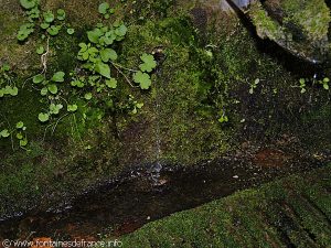 La Fontaine de l'Abbaye