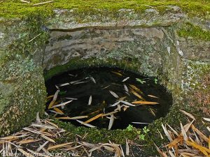 La Fontaine de Dévotion du Hameau de Conore