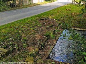 La Fontaine St-Malo de St-Esprit des Bois