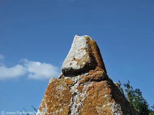 La Fontaine N-D des Fleurs