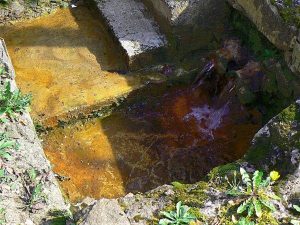 La Fontaine de Bidas