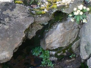 La Fontaine de Bidas