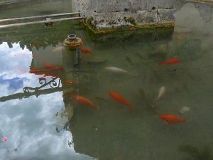 La Fontaine Grande Rue